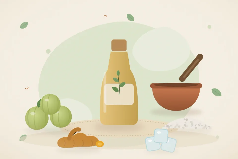 Illustrated still life with amla, rock salt, turmeric root, ice.