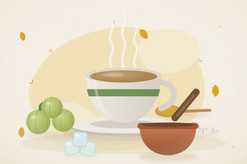 Illustrated still life with amla, mishri crystals, ice.
