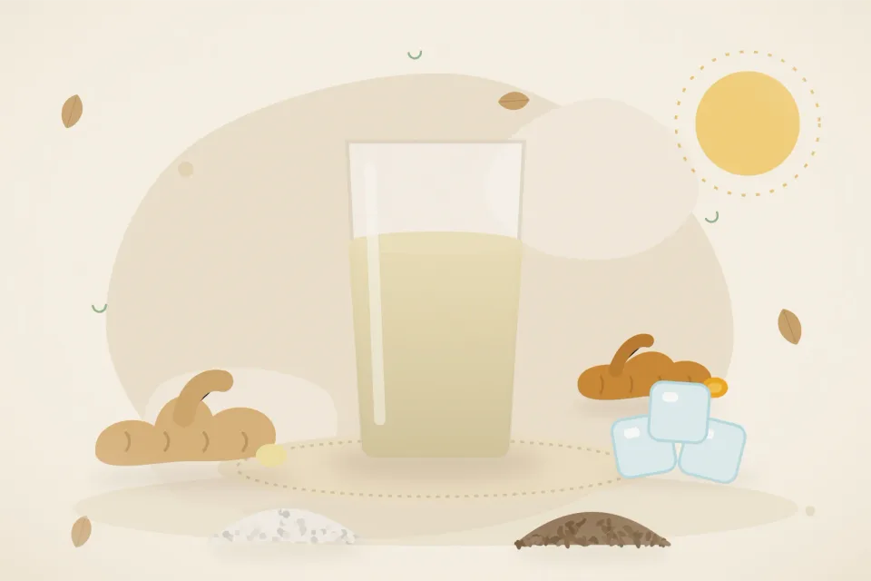 Illustrated still life with fresh ginger, ice, rock salt, cumin seeds, turmeric root.