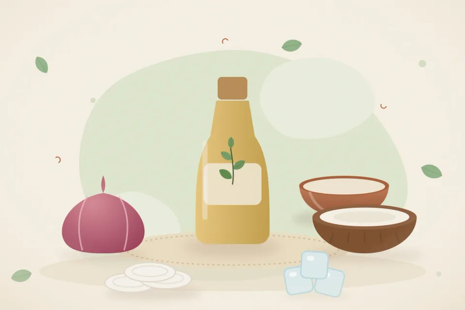 Illustrated still life with onion, coconut, cotton pads, ice.