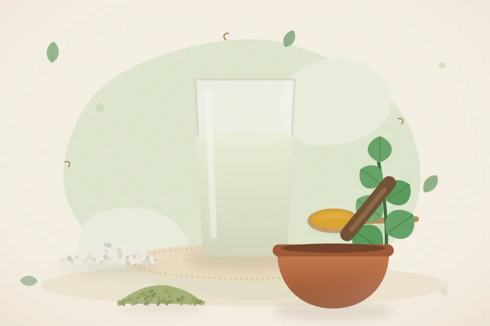 Illustrated still life with rock salt, mint leaves, fennel seeds.